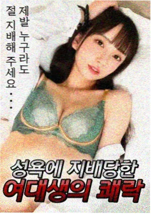 深夜档新番排期公布